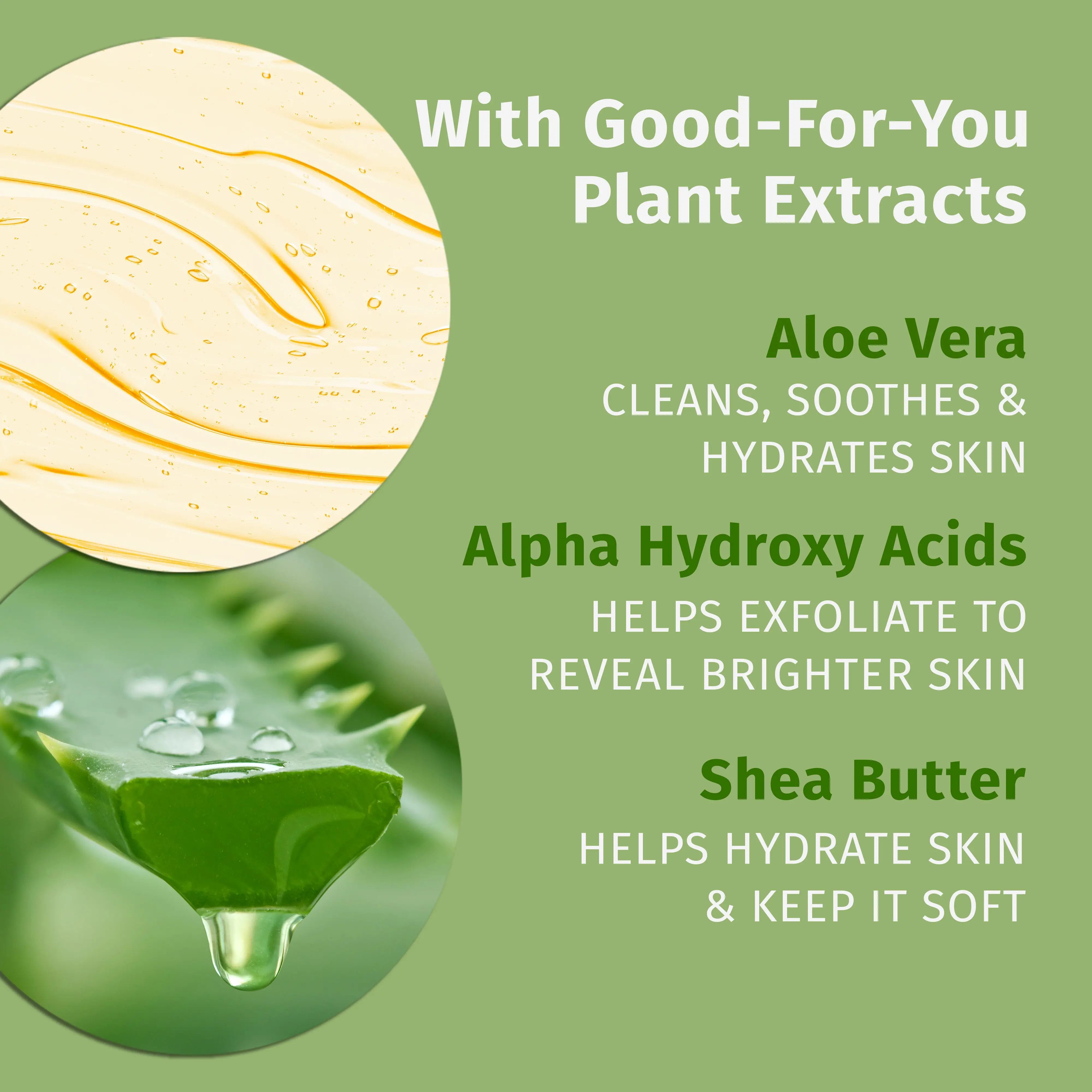 Age Defying Vanilla Herbal Body Wash - Image 4