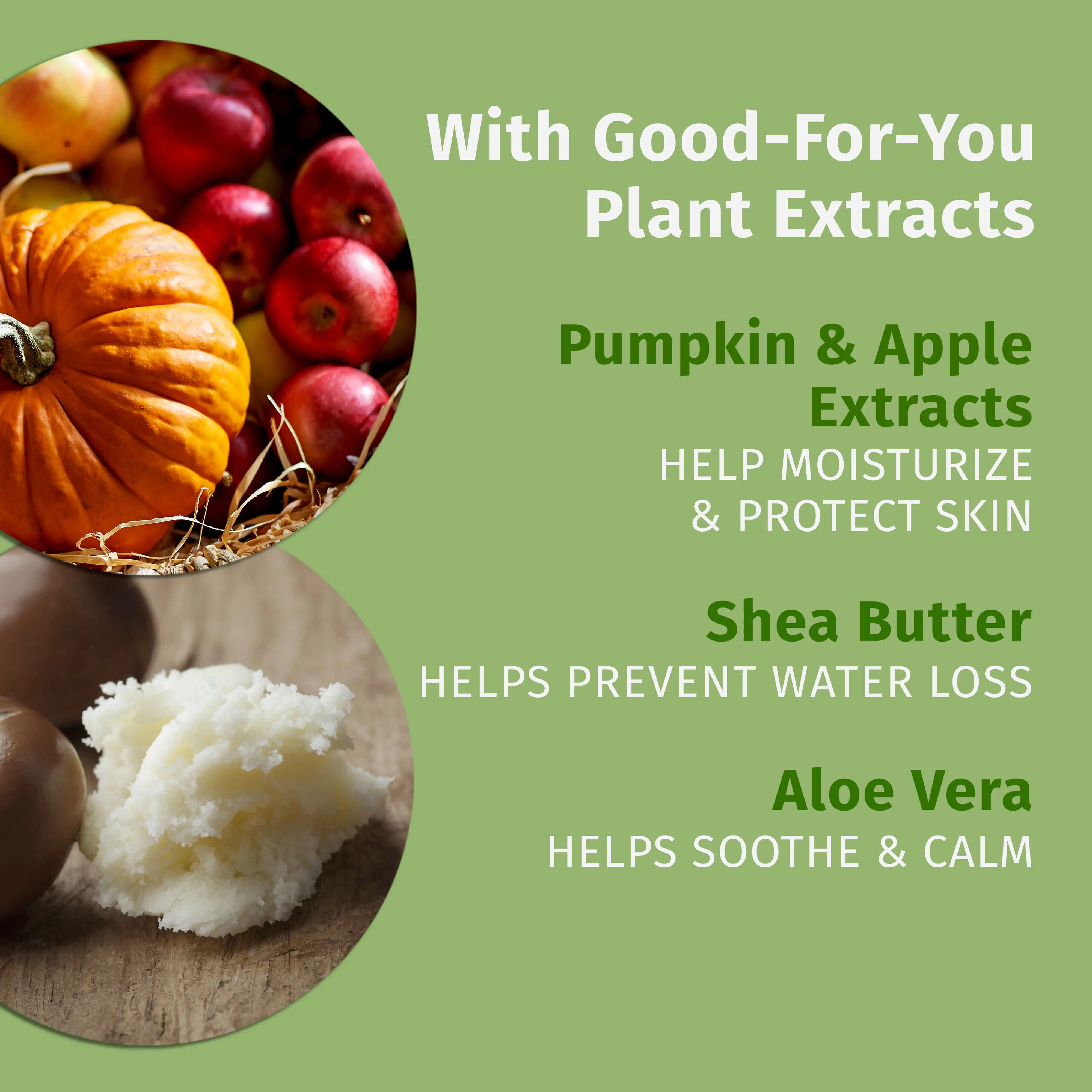 Fall Faves Trio Lotion & Lip Balm Set - Image 5