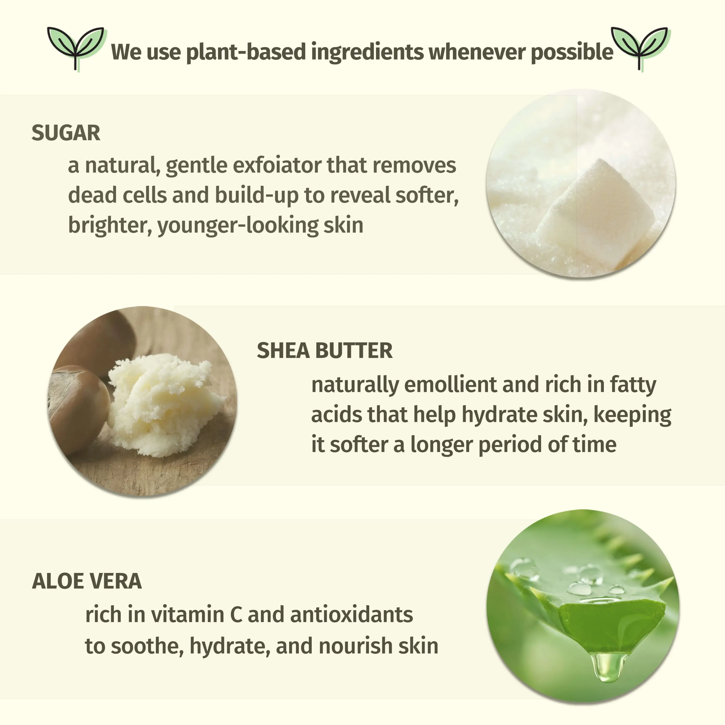 Fragrance Free Herbal Sugar Scrub - Image 3