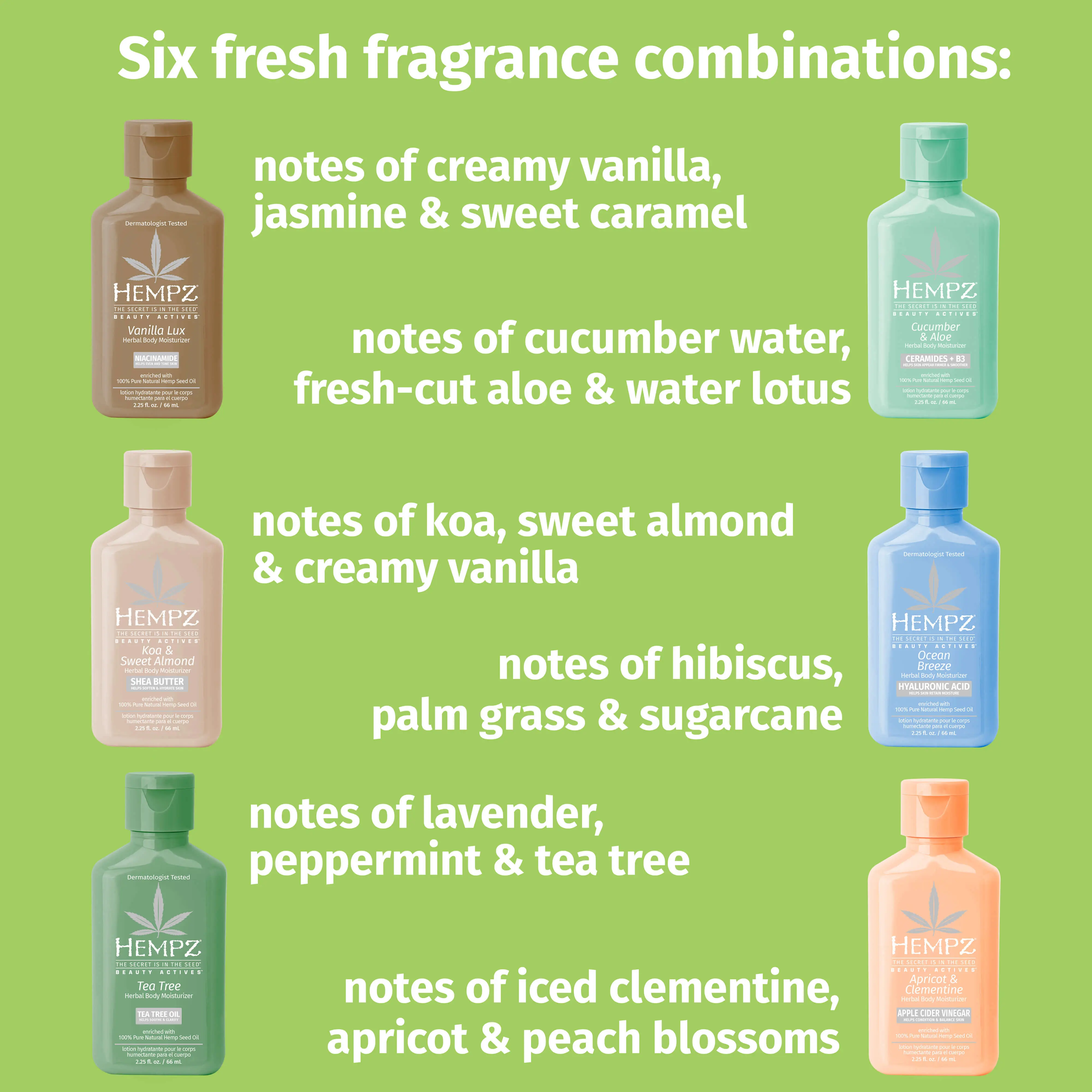 House of Beauty Travel-Size Moisturizer Set - Image 3