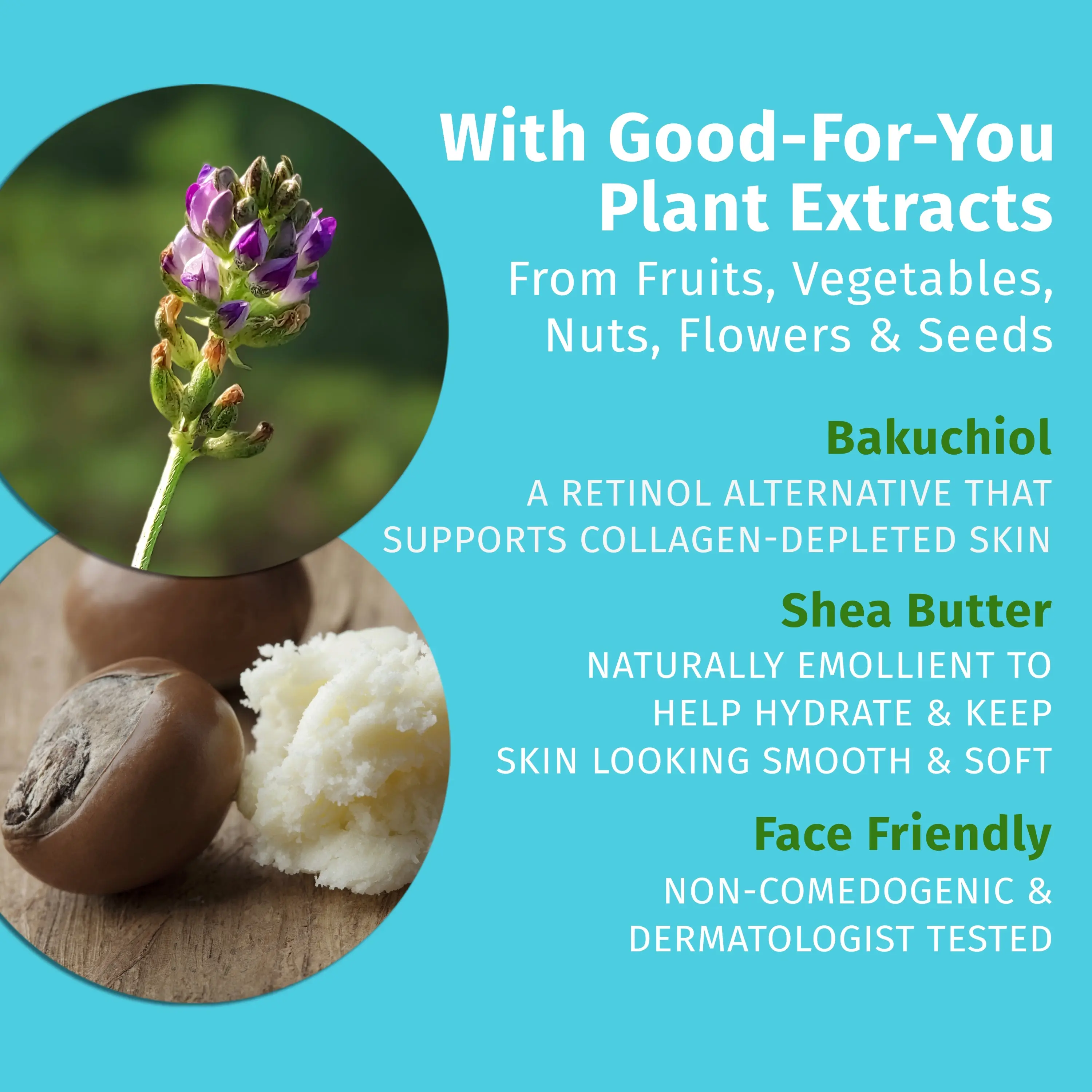 Beauty Actives Lavender & Chamomile Restoring Night Facial Moisturizer with Retinol Alternative - Image 4