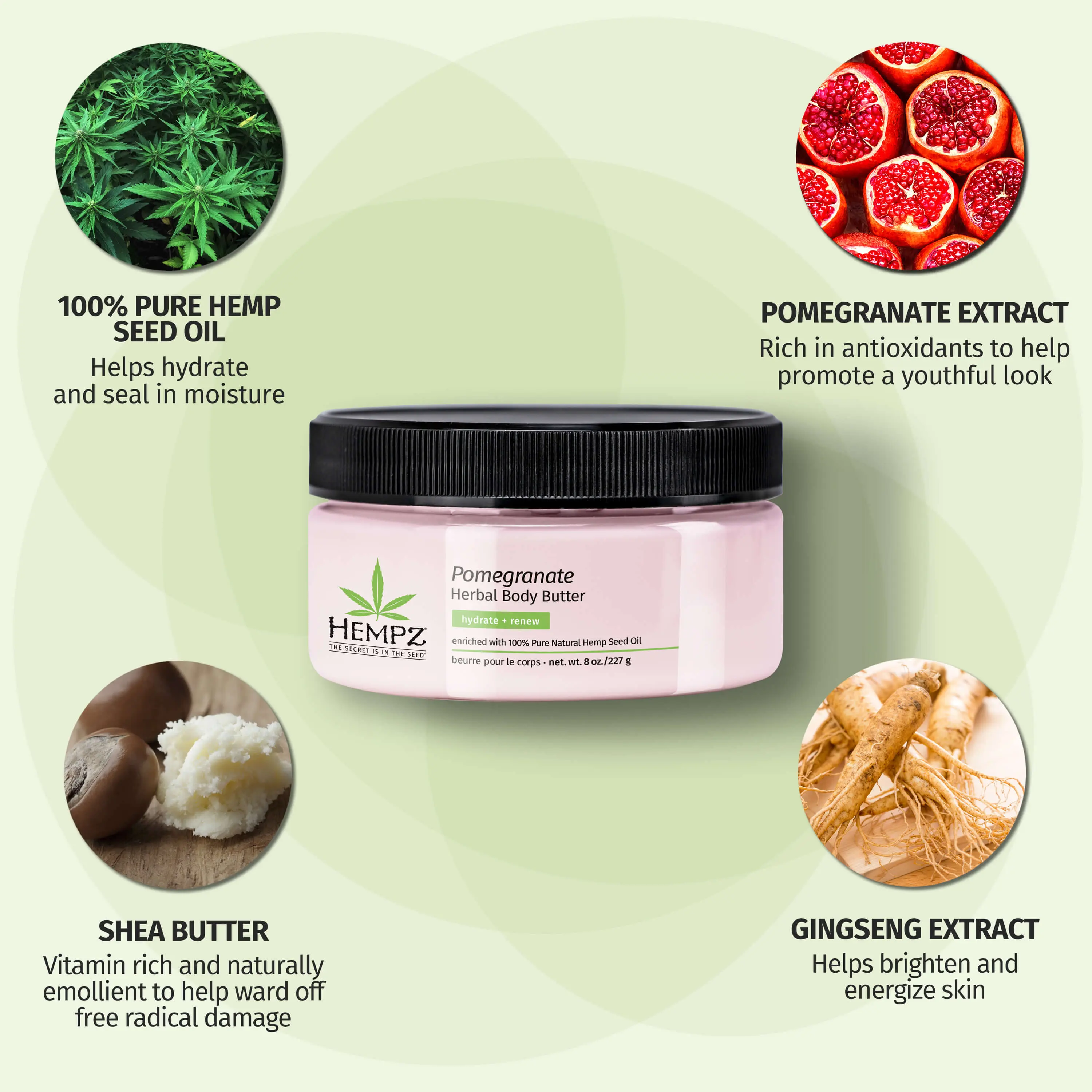 Pomegranate Herbal Body Butter - Image 4