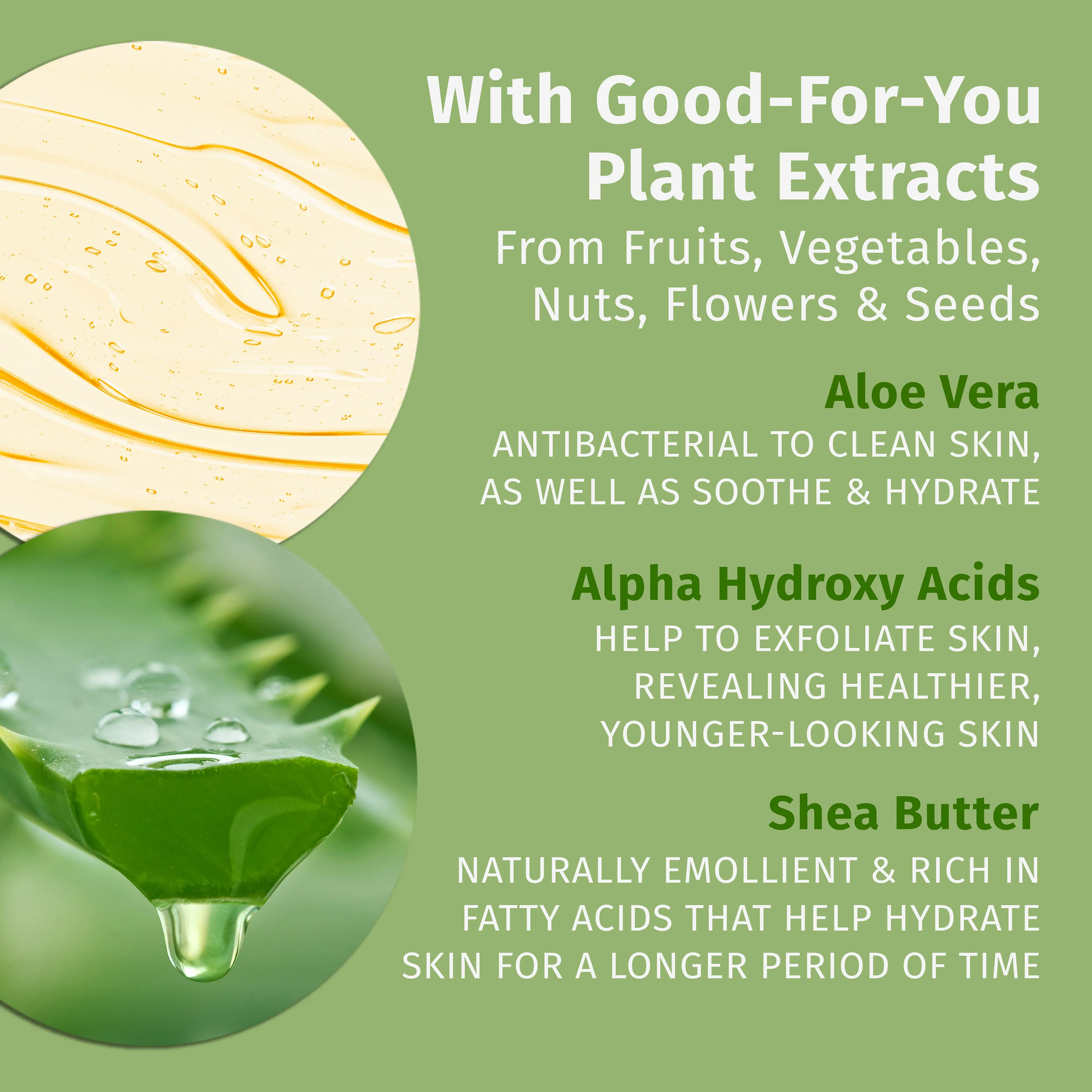 Pomegranate Herbal Body Wash - Image 3