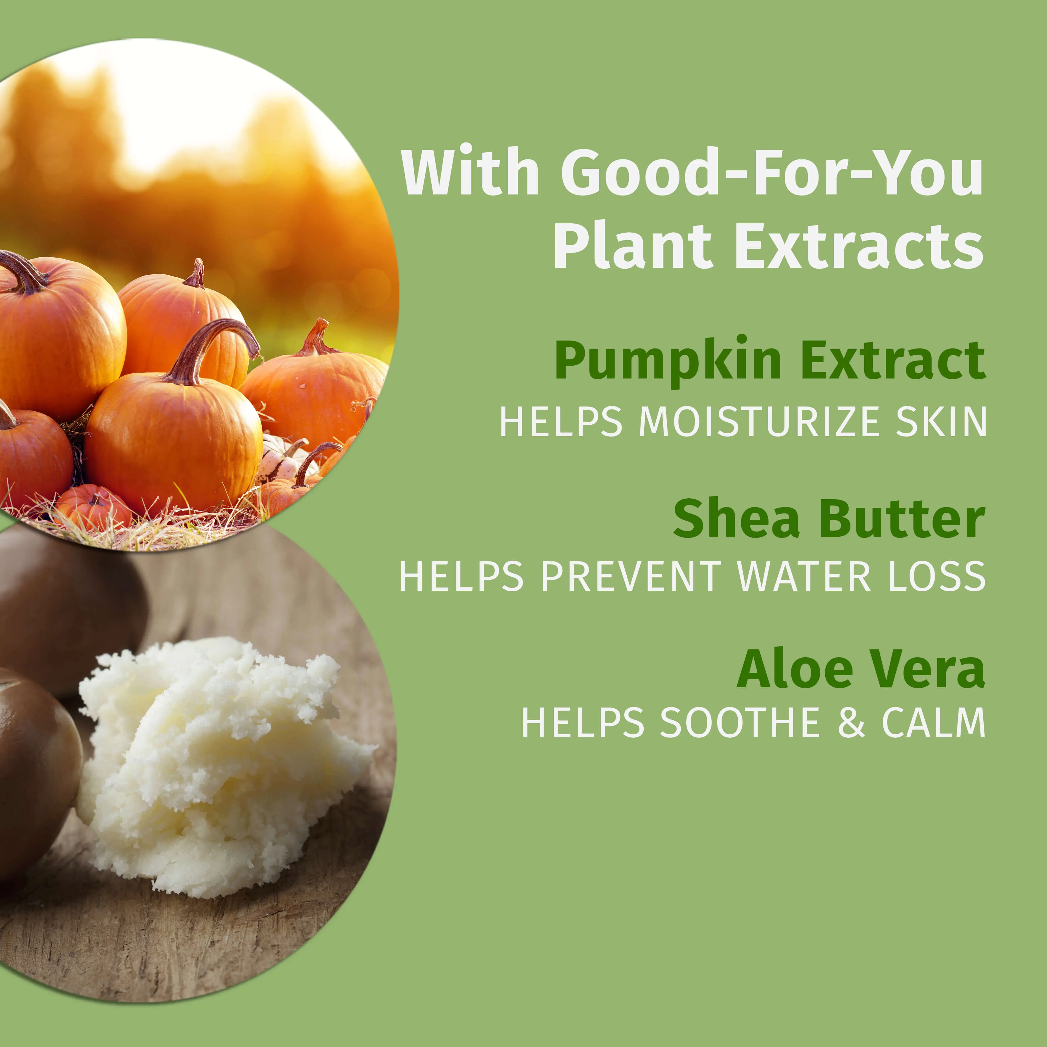 Spiced Pumpkin Pie Body Moisturizer - Image 6