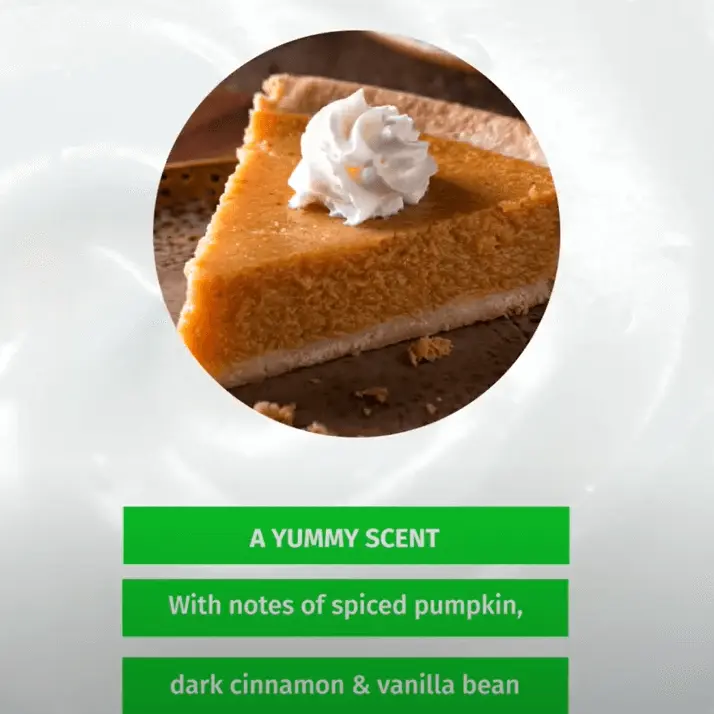 Spiced Pumpkin Pie Lip Balm - Image 3