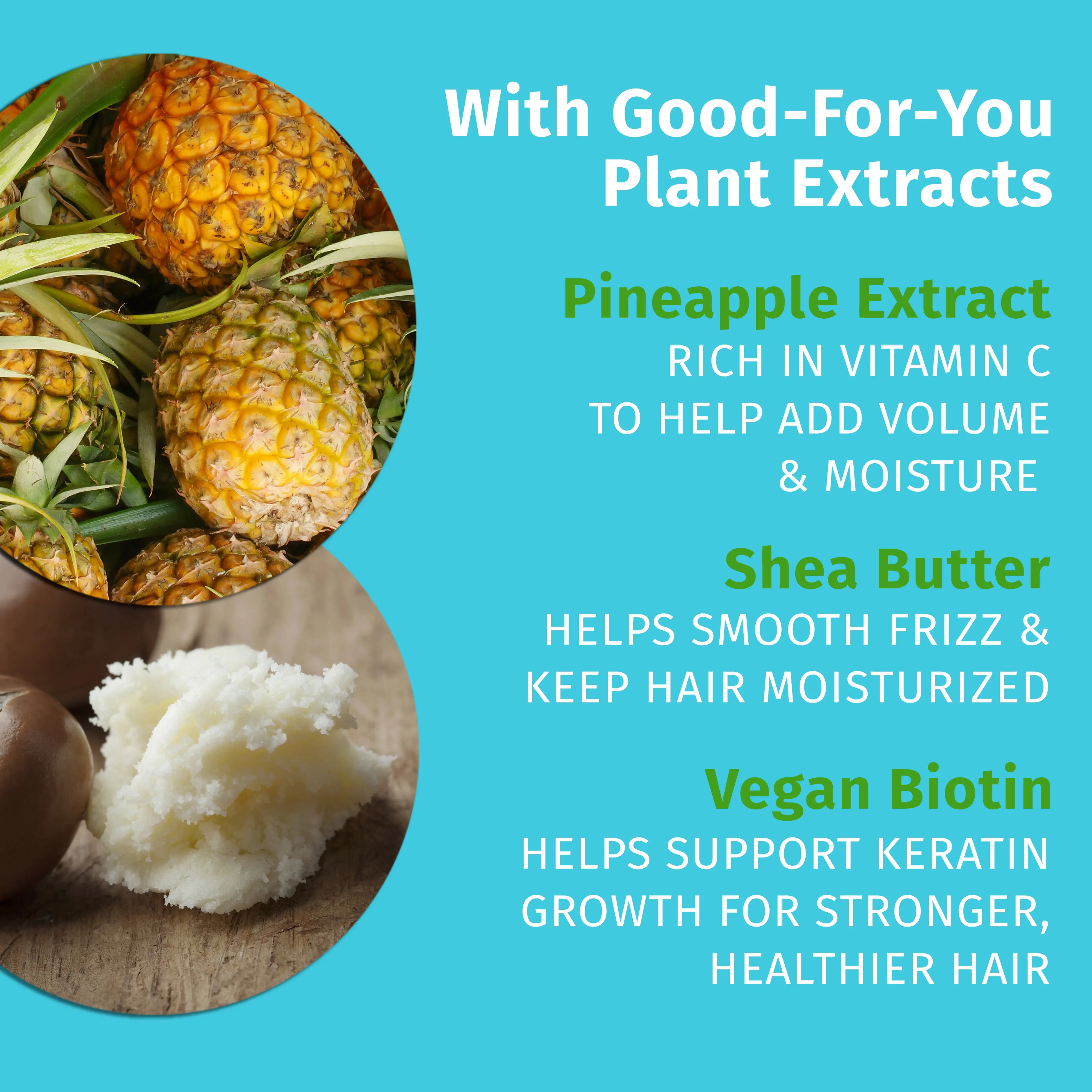 Sweet Pineapple & Honey Melon Herbal Conditioner with Vegan Biotin & Vitamin C for Thin/Fine Hair - Image 3