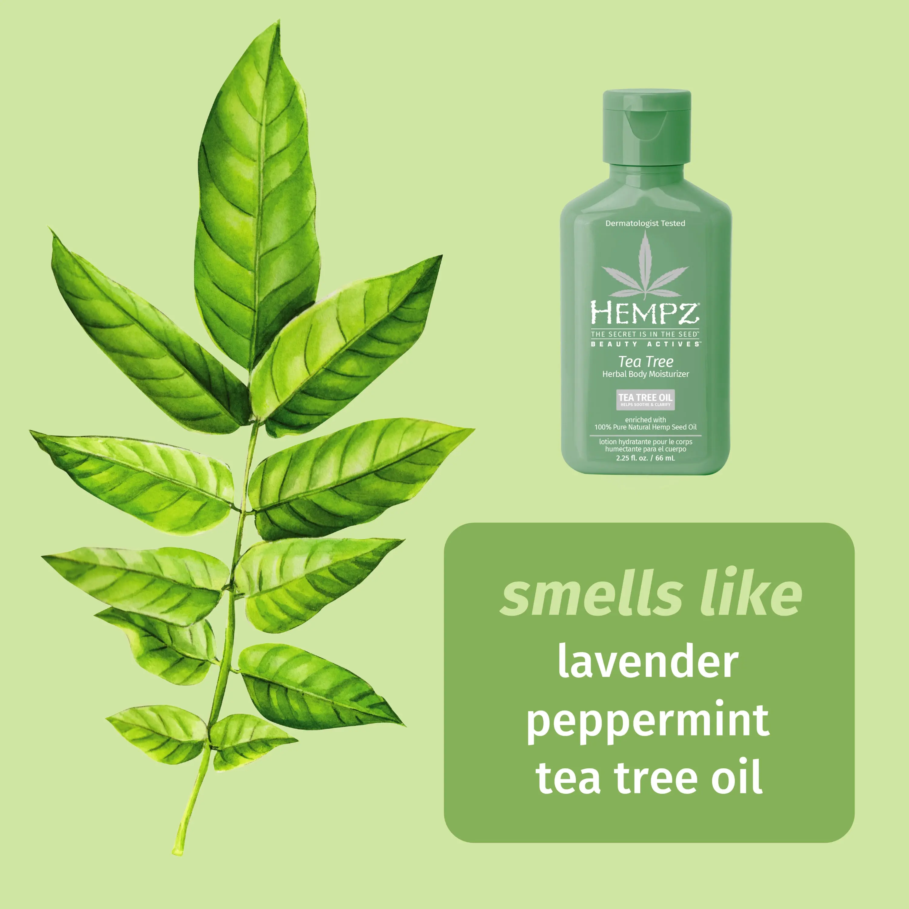 Travel-Size Beauty Actives Tea Tree Herbal Body Moisturizer with Tea Tree Oil - Image 2