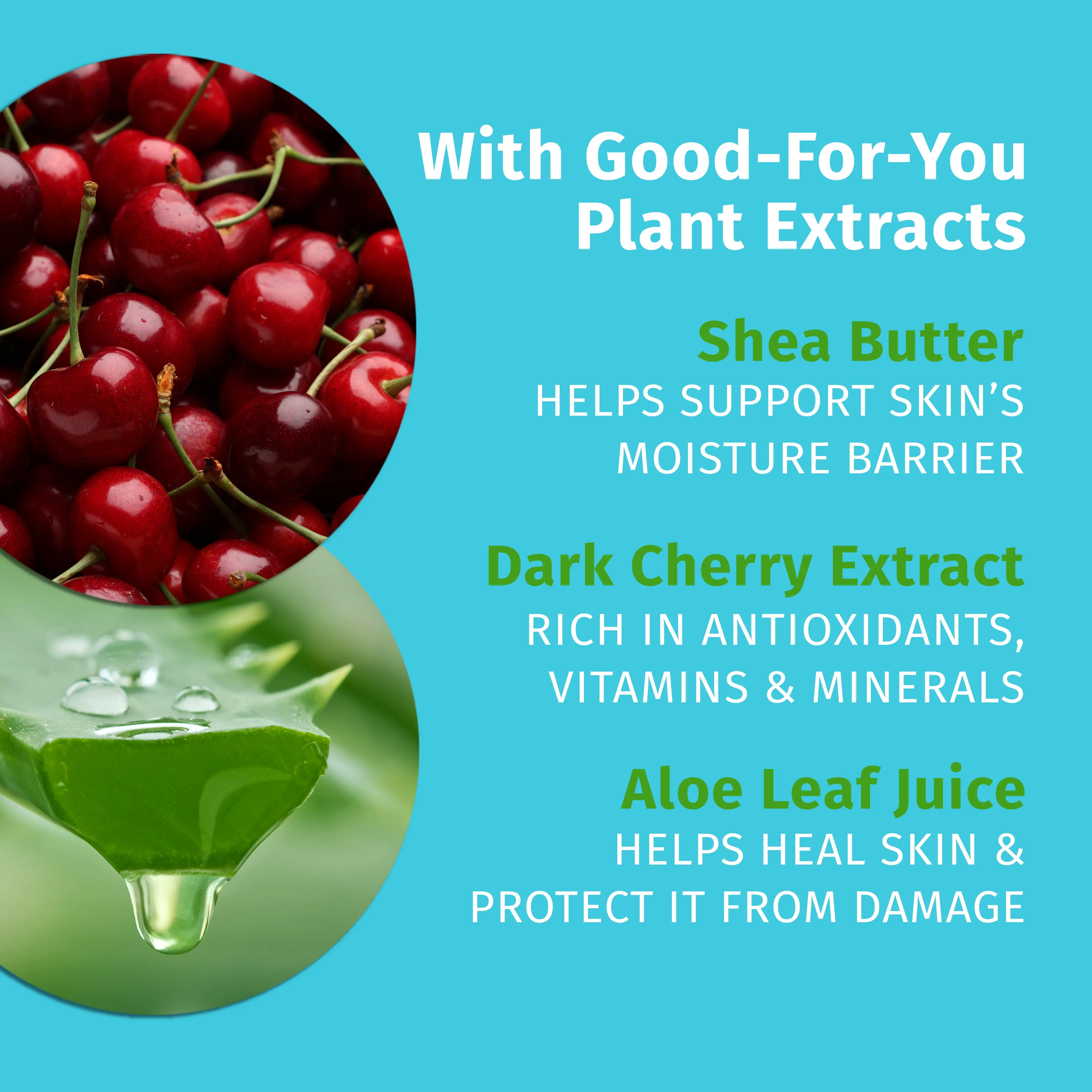 Travel-Size Dark Red Cherries Herbal Body Moisturizer - Image 3