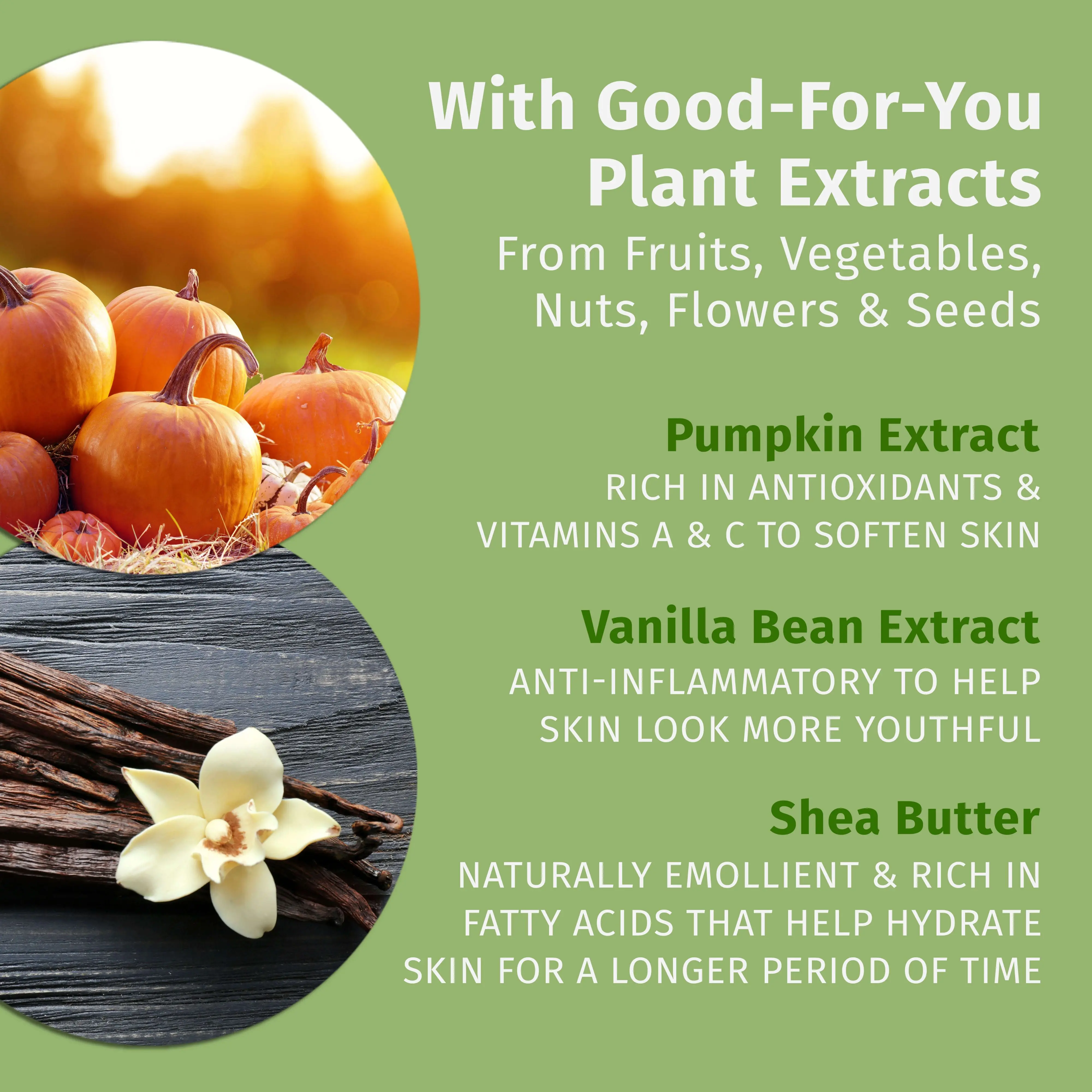 Travel-Size Pumpkin Spice & Vanilla Chai Herbal Body Moisturizer - Image 4