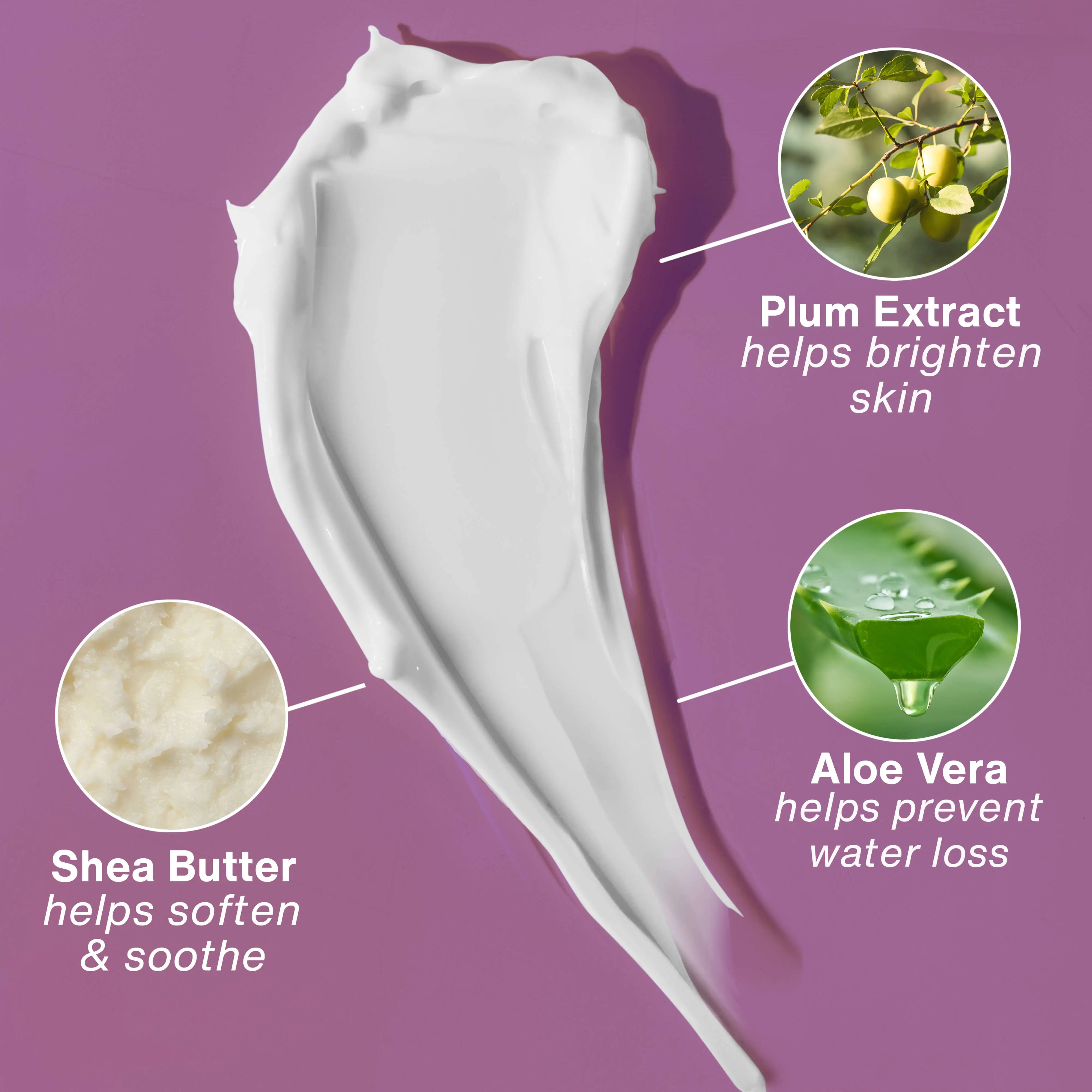 Vanilla Plum Moisturizing Body Lotion - Image 4