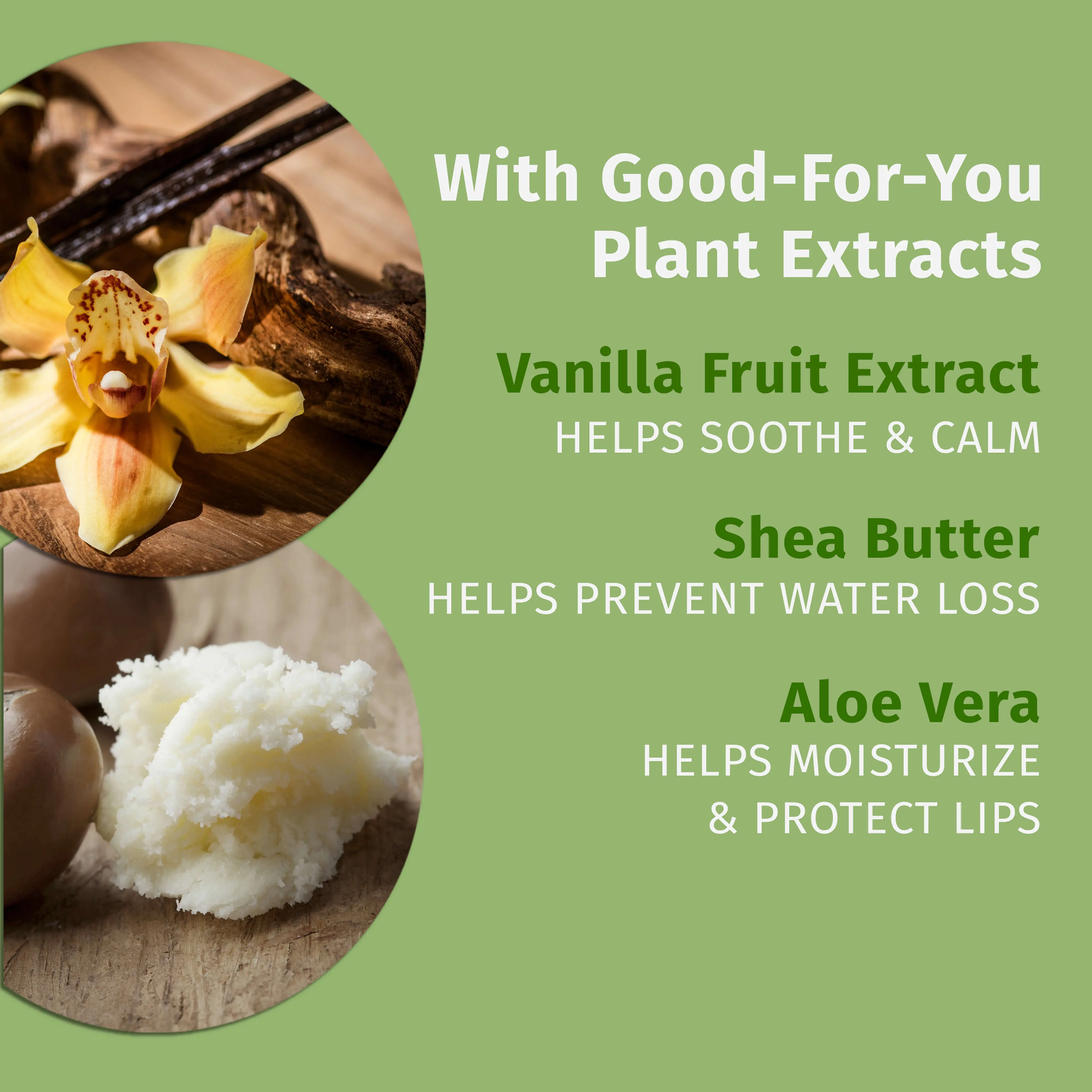 Vanilla Sugar Cookie Lip Balm - Image 5
